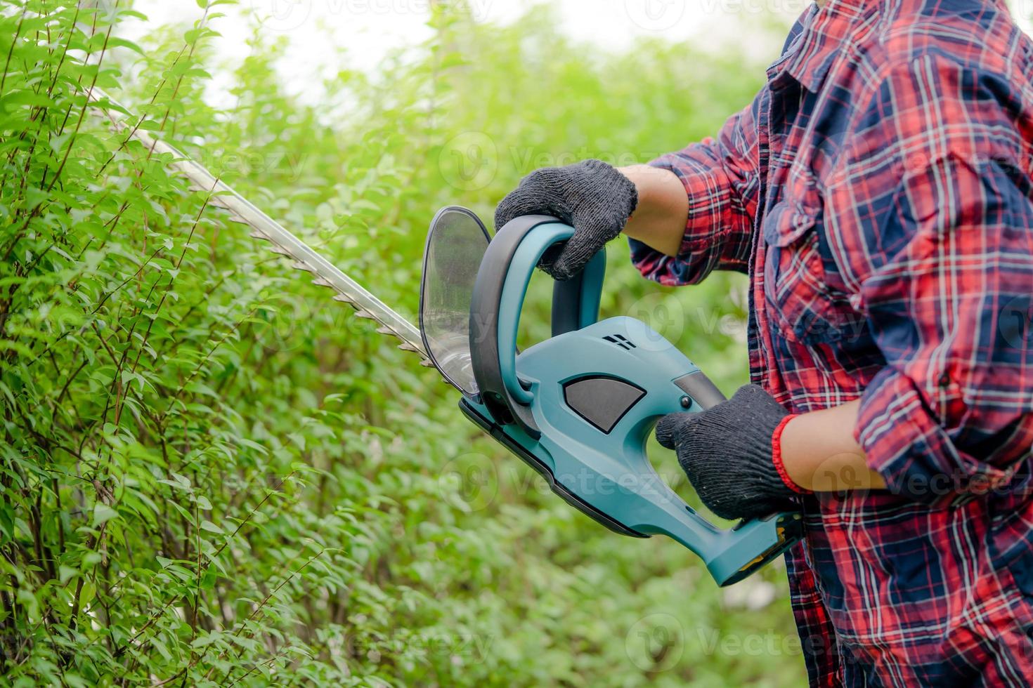 jardinier tenant un taille-haie électrique pour couper la cime des arbres dans le jardin. photo