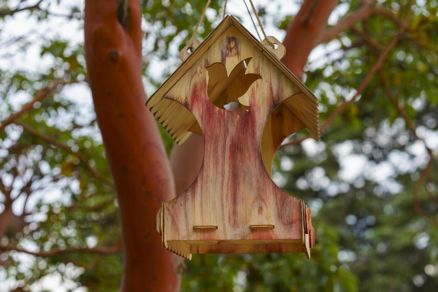 mangeoires d'oiseaux sur les arbres contre le ciel dans le parc photo