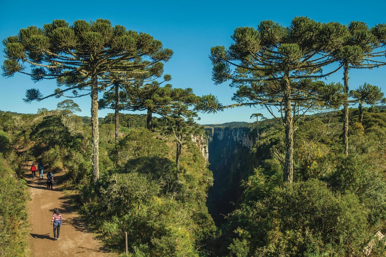 cambara do sul, brésil - 16 juillet 2019. chemin de terre et personnes au canyon d'itaimbezinho avec des falaises rocheuses près de cambara do sul. une petite ville de campagne avec des attractions touristiques naturelles étonnantes. photo