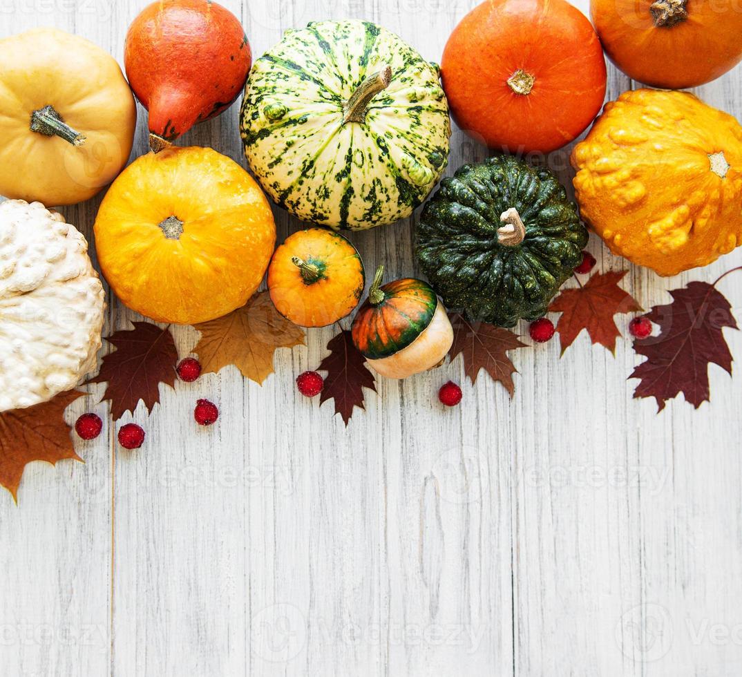 citrouilles sur une table en bois photo