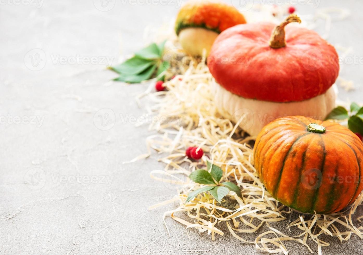 citrouilles d'automne colorées photo