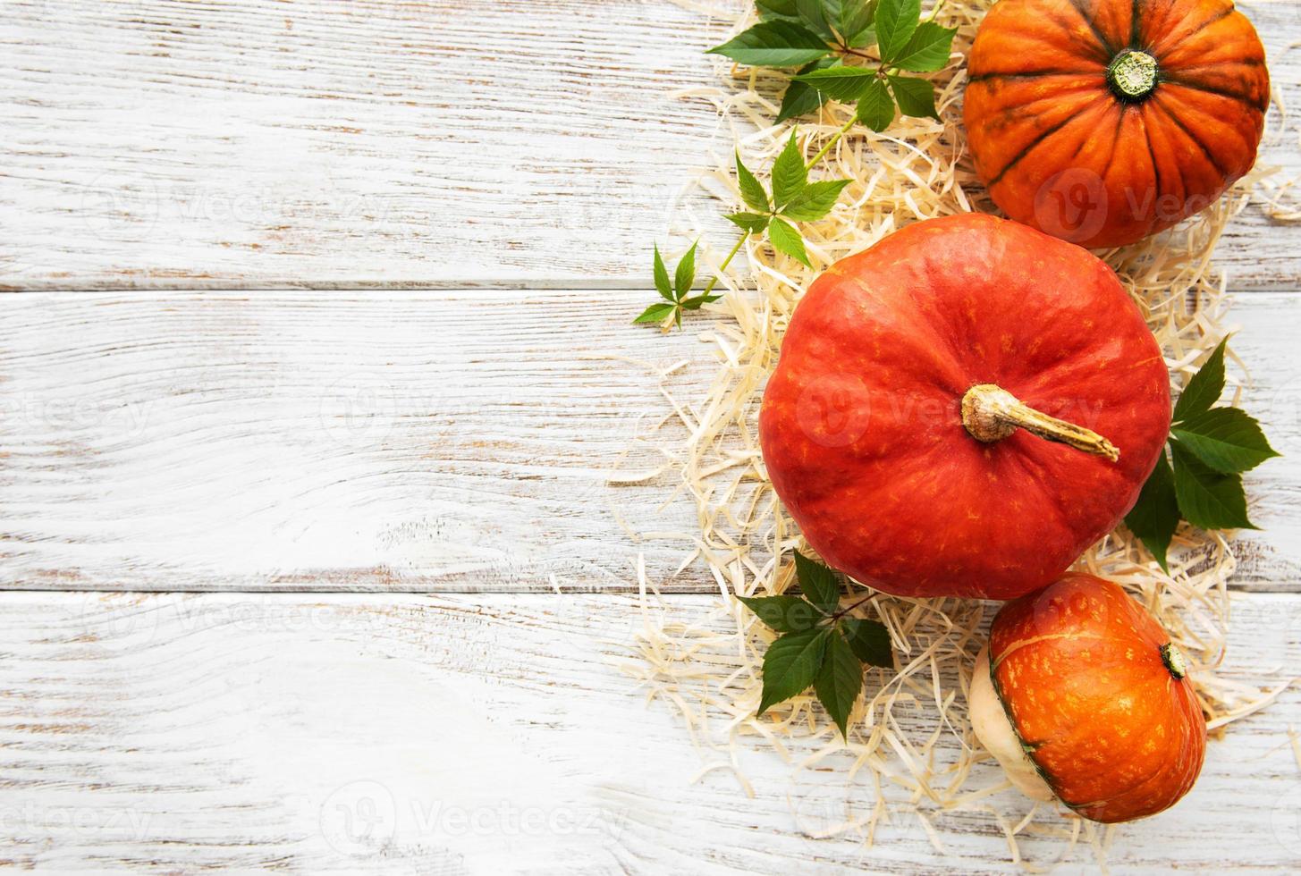 citrouilles d'automne colorées photo