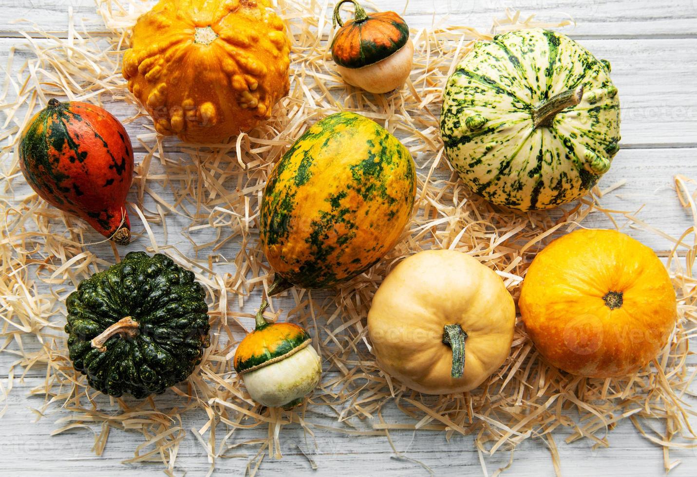 citrouilles sur une table en bois photo