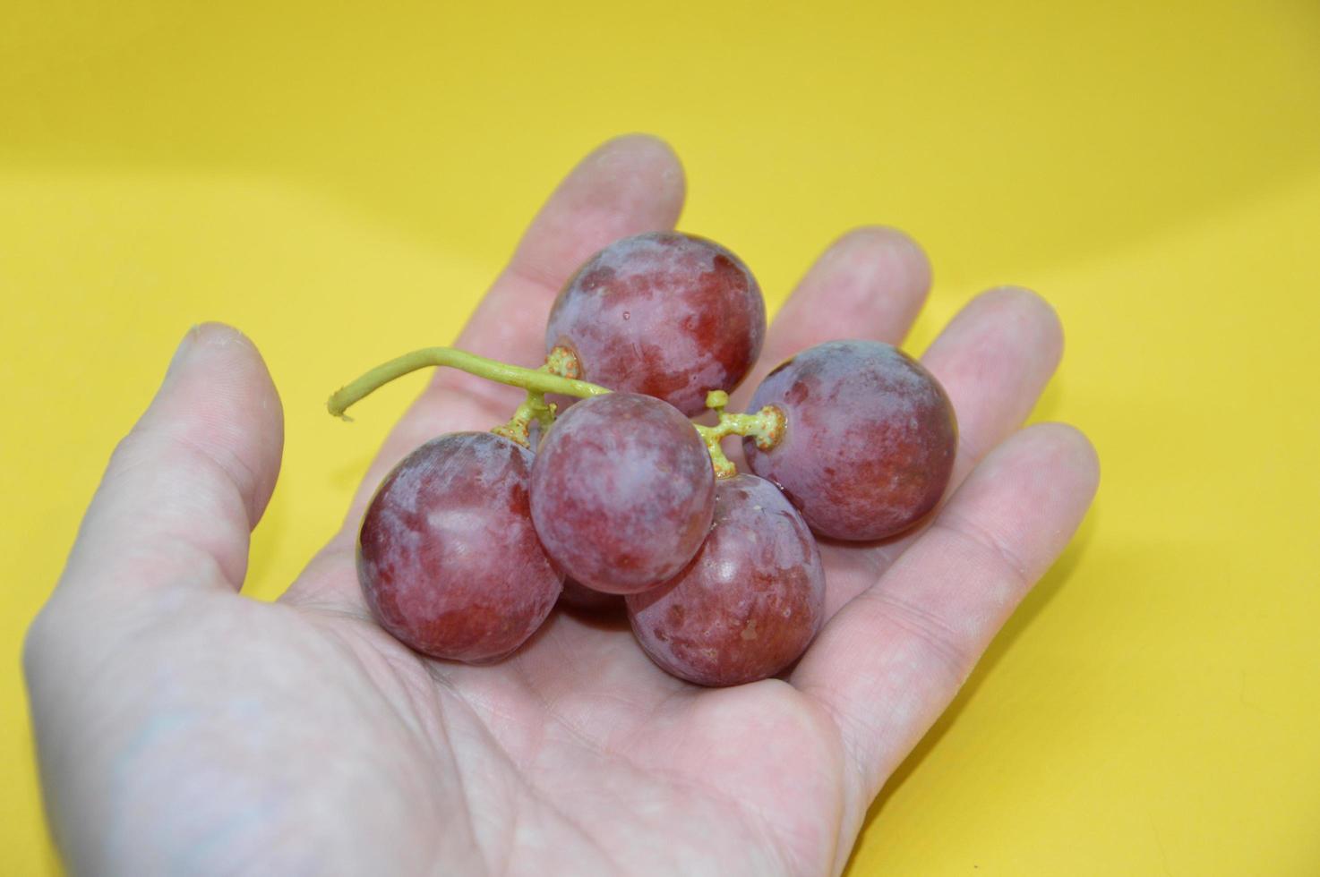 gros raisins rouges sur une assiette photo