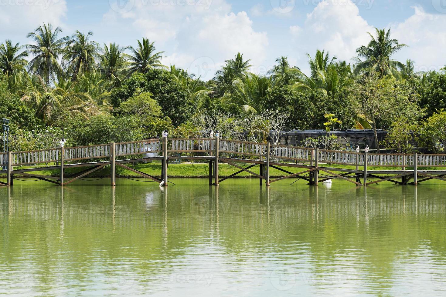 le pont sur la rivière. photo