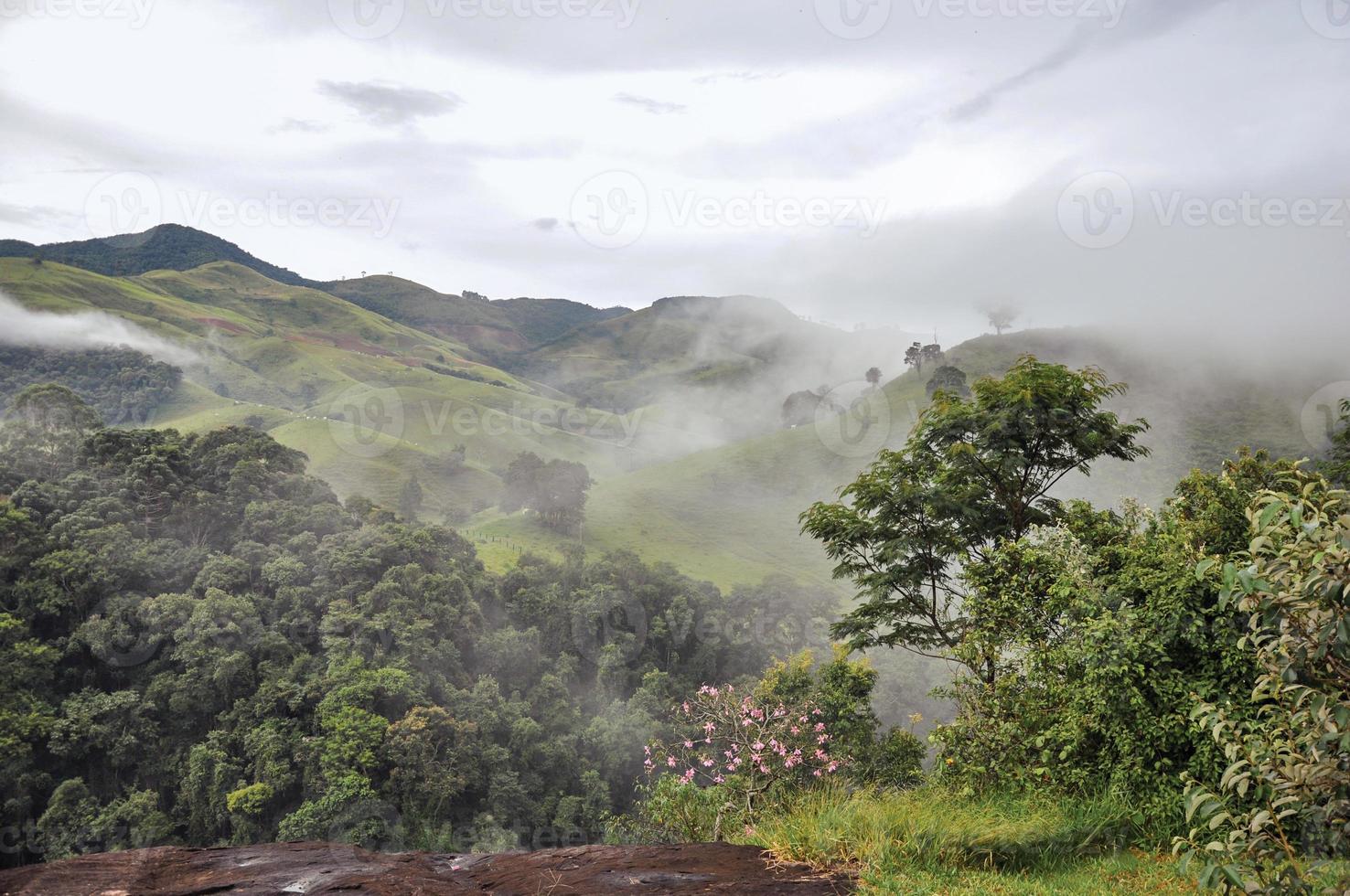 aperçu de la forêt et des collines enveloppées de brume et de nuages près de la ville de joanopolis. dans la campagne de l'état de sao paulo, une région riche en produits agricoles et d'élevage, au brésil. photo