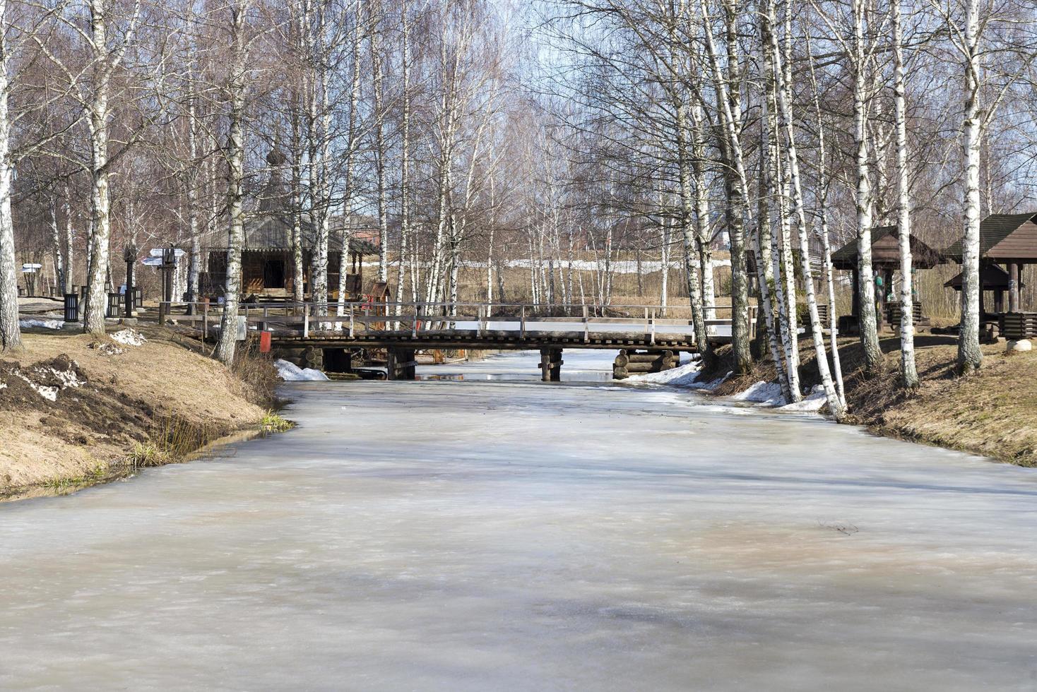 l'inondation dans la campagne un jour de printemps. photo