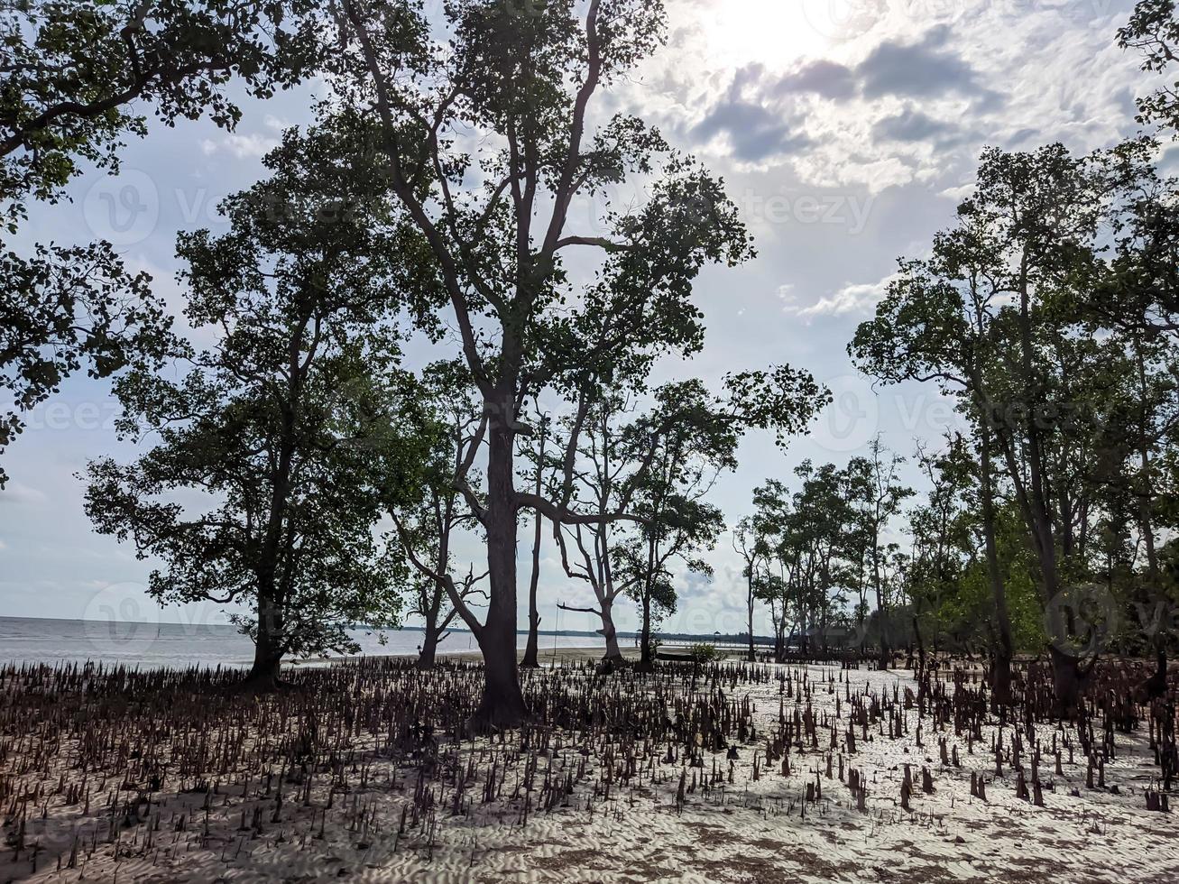 belles photos du paysage sur la côte d'ambalat, kalimantan oriental, indonésie