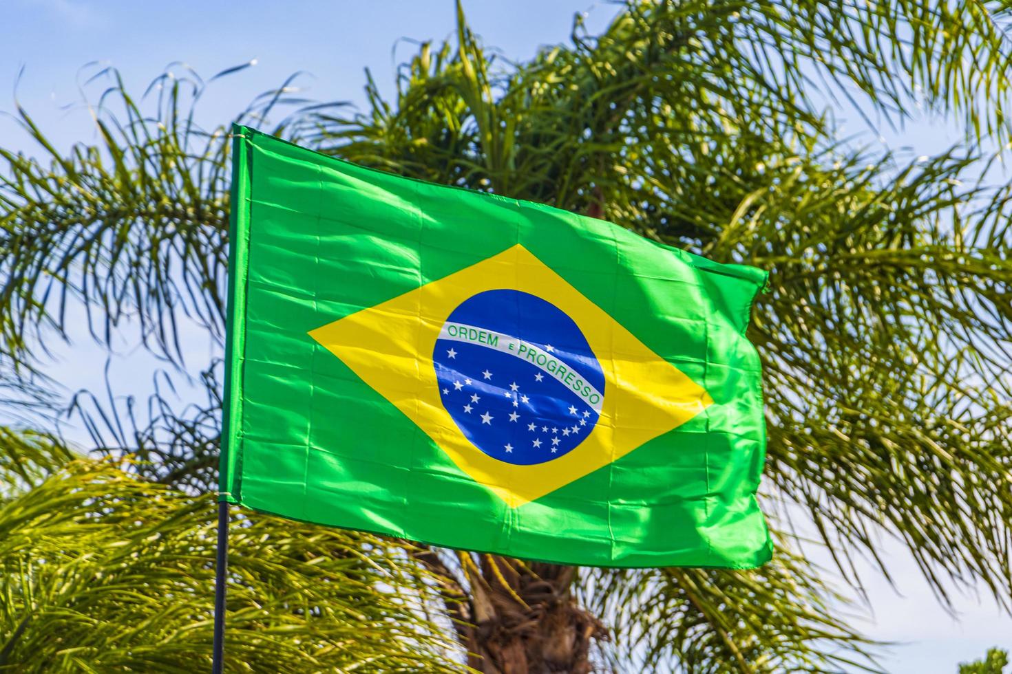 drapeau brésilien avec palmiers et fond de ciel bleu brésil. photo