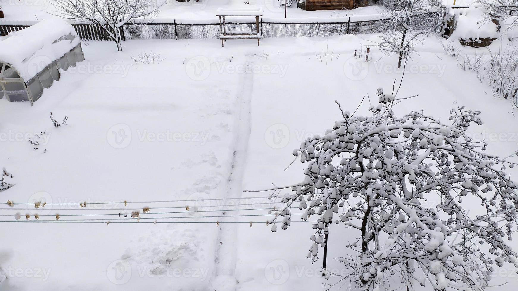 potager en hiver. serre dans la neige. paysage d'hiver enneigé pittoresque. photo