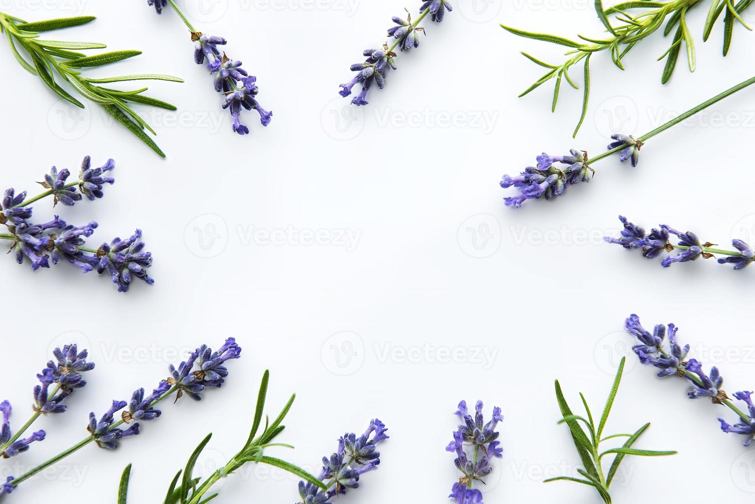 fleurs fraîches de bouquet de lavande, vue de dessus sur fond blanc photo