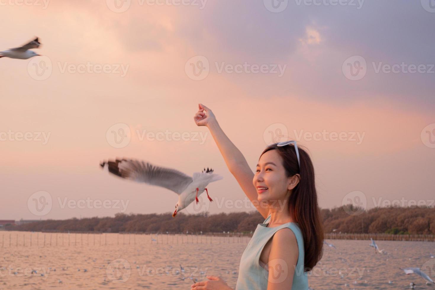 belle main de femme nourrissant une mouette pendant le coucher du soleil. la mouette évacue le froid de l'hémisphère nord vers bangpu, samutprakarn, thaïlande pendant l'hiver de novembre à mars. photo