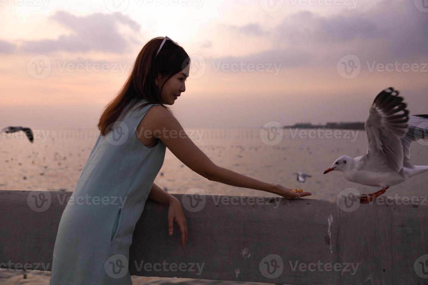 belle main de femme nourrissant une mouette pendant le coucher du soleil. la mouette évacue le froid de l'hémisphère nord vers bangpu, samutprakarn, thaïlande pendant l'hiver de novembre à mars. photo