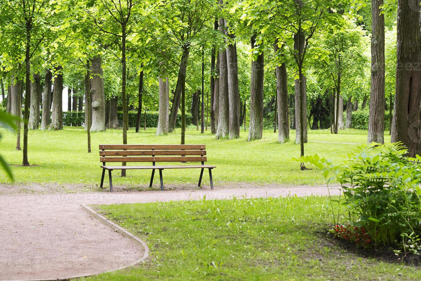 banc solitaire dans le parc. photo