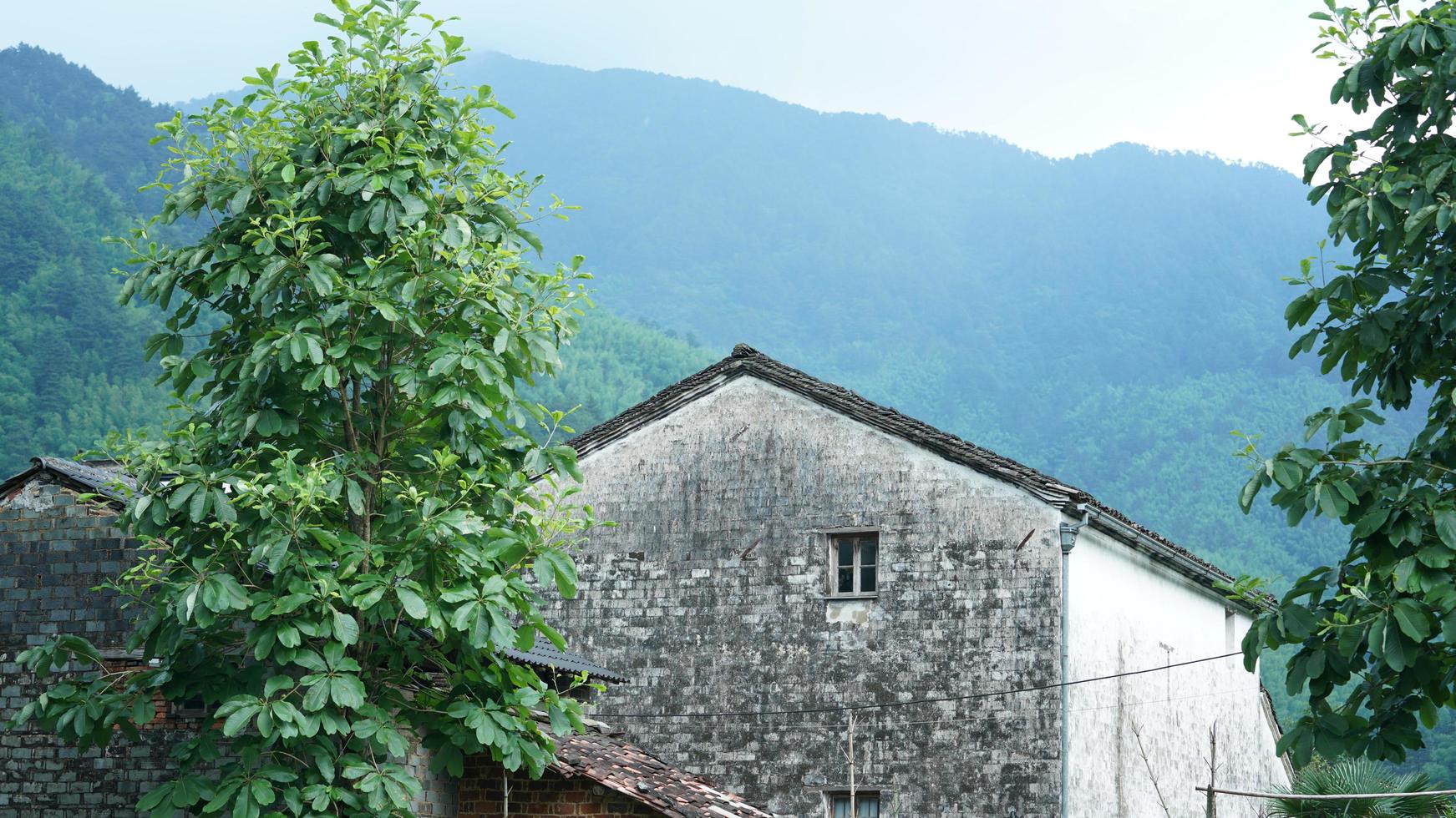 les beaux paysages de montagnes avec la forêt verte et le petit village en arrière-plan dans la campagne de la chine photo