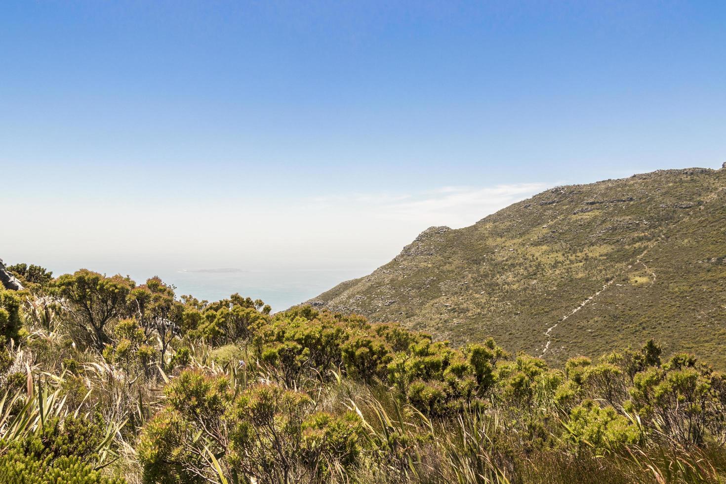 vue depuis le parc national de la montagne de la table au cap, afrique du sud. photo