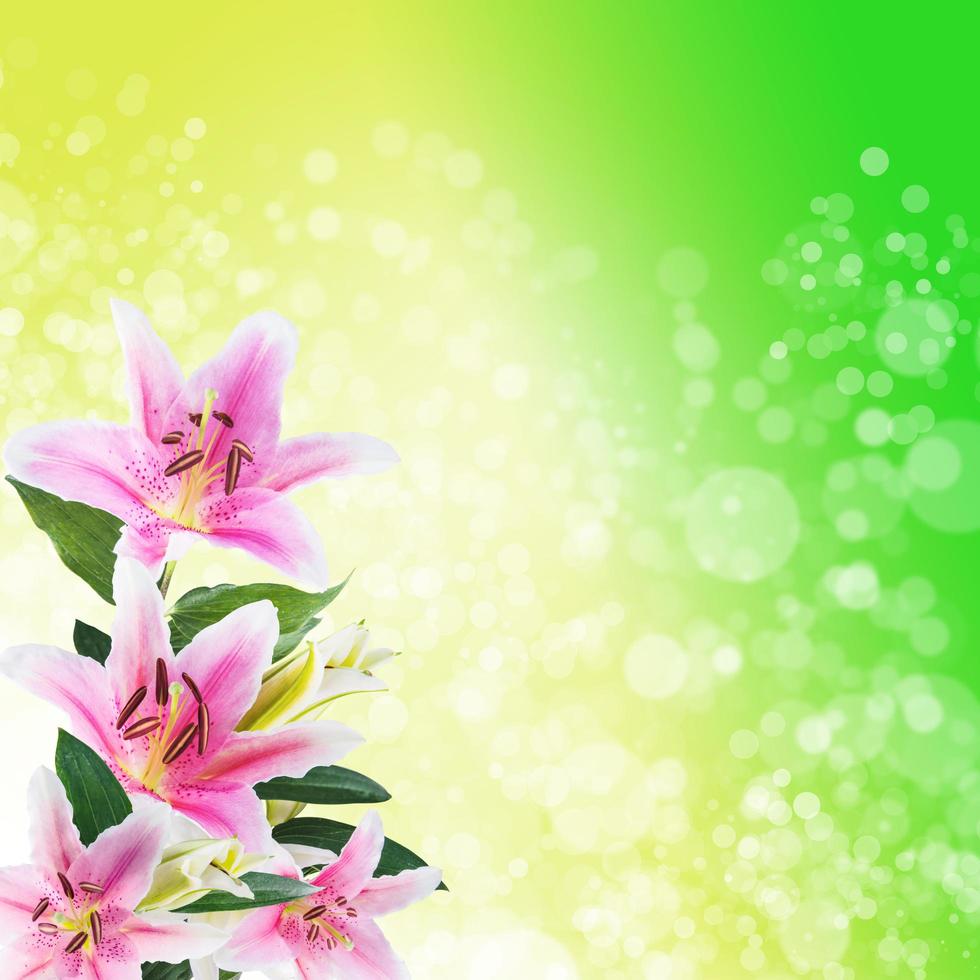 bokeh abstrait paillettes lighflower lys blancs sur un fond de couleur photo