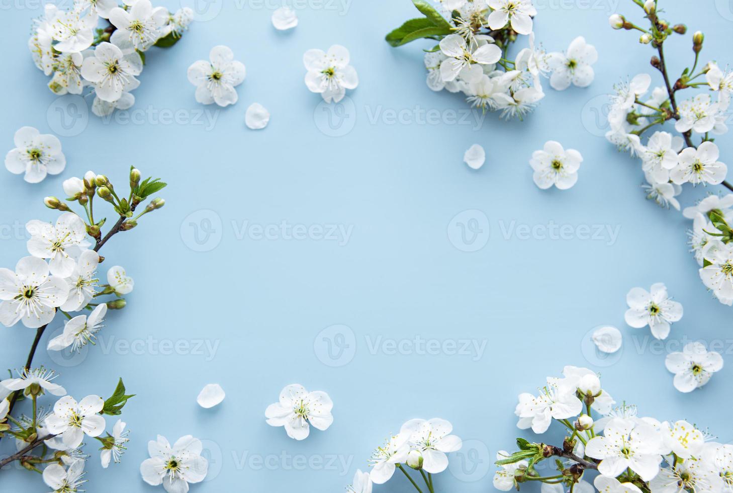 fond de bordure de printemps avec de belles branches fleuries blanches. photo