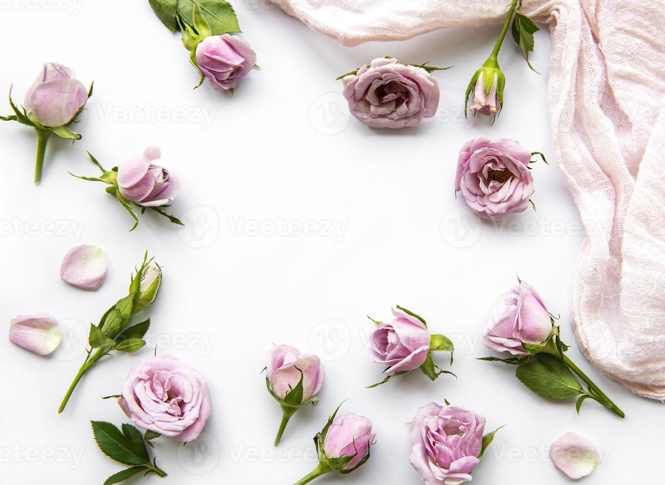 cadre de roses sur fond blanc. photo