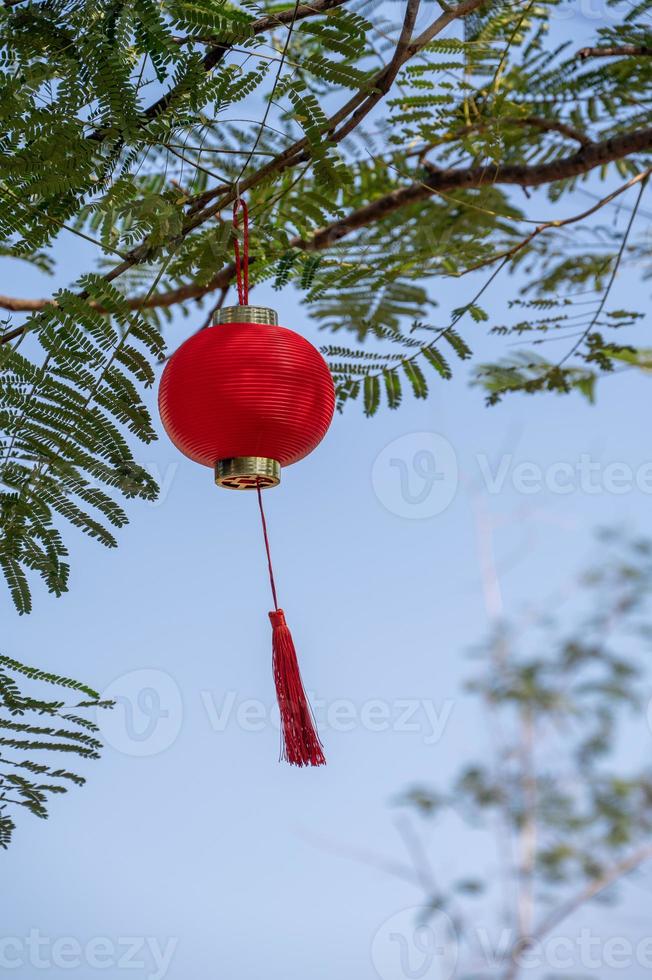 des lanternes rouges sont accrochées aux arbres sous le ciel bleu, avec le mot chinois fu, qui signifie chanceux photo