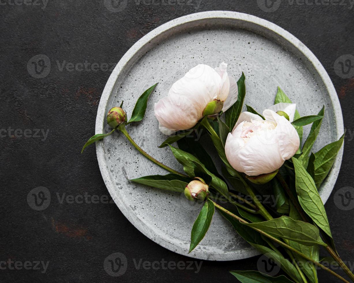 Fleurs de pivoine sur fond de béton noir photo