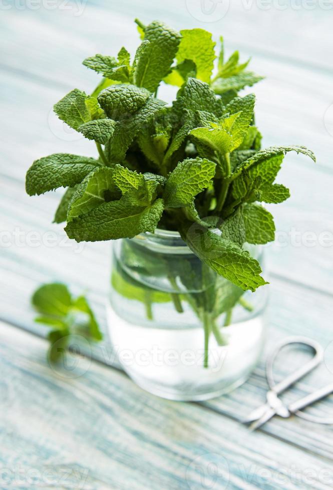 feuilles de menthe fraîche dans un petit bocal en verre photo