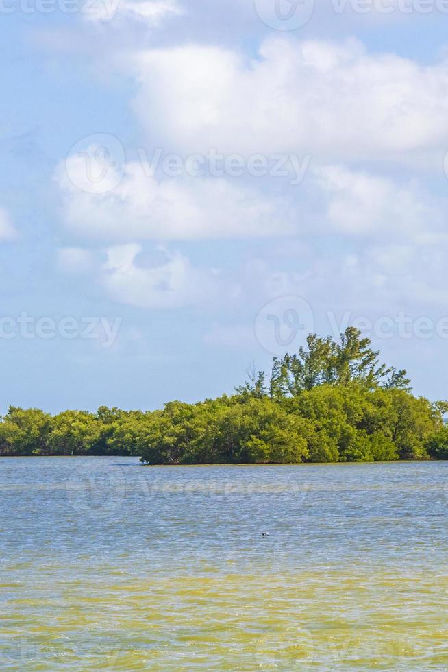 panorama paysage vue holbox island nature plage eau turquoise mexique. photo