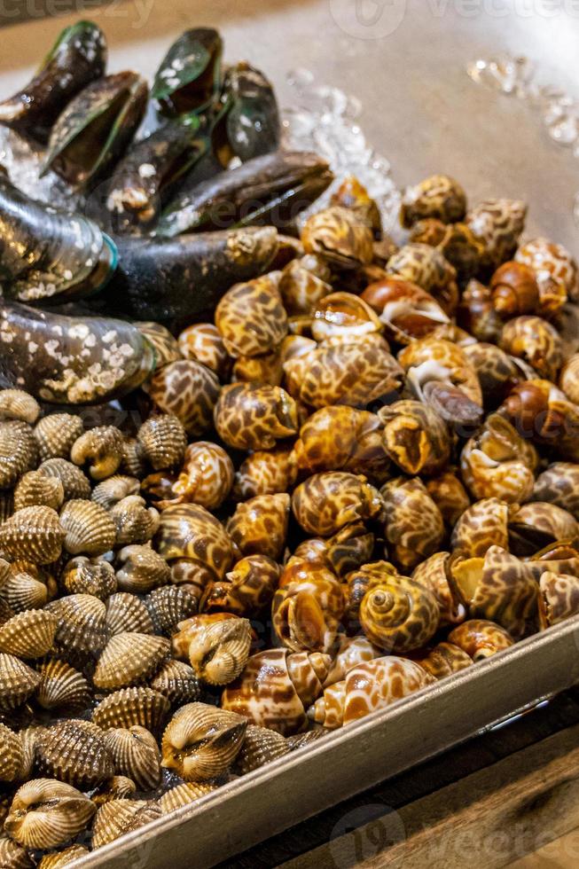 fruits de mer palourdes huîtres thai night market street food bangkok thaïlande. photo