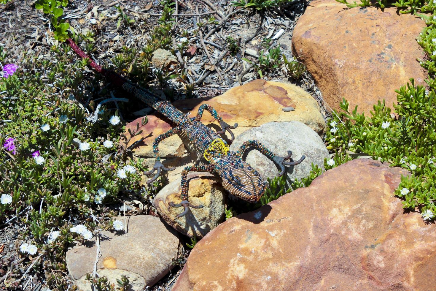 animaux décoratifs dans le jardin, parterre de fleurs. lézard, gecko, reptiles, amphibiens. photo