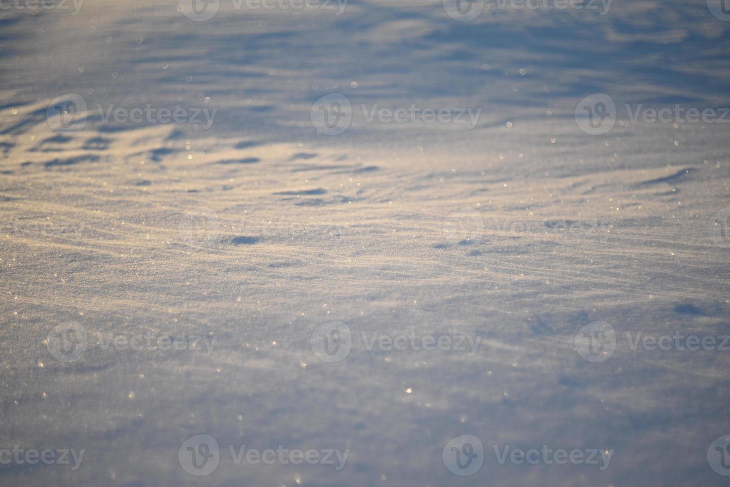 paysages enneigés et gros plan de neige dans les rayons du soleil. de l'herbe et des objets dans la neige. photo