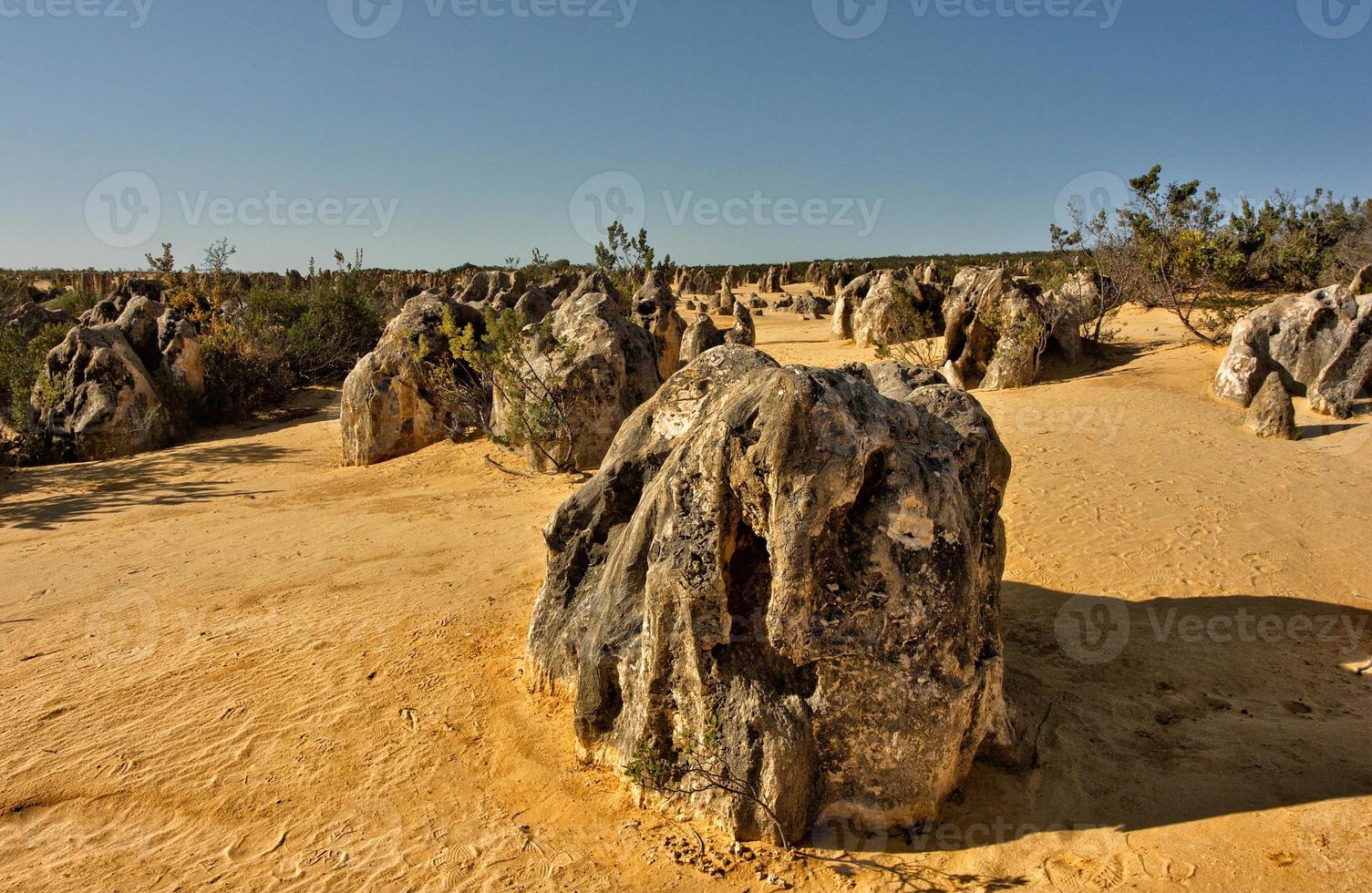 les pinacles du parc national de nambung sont d'étonnantes structures calcaires naturelles, certaines atteignant cinq mètres de haut. Australie occidentale. photo