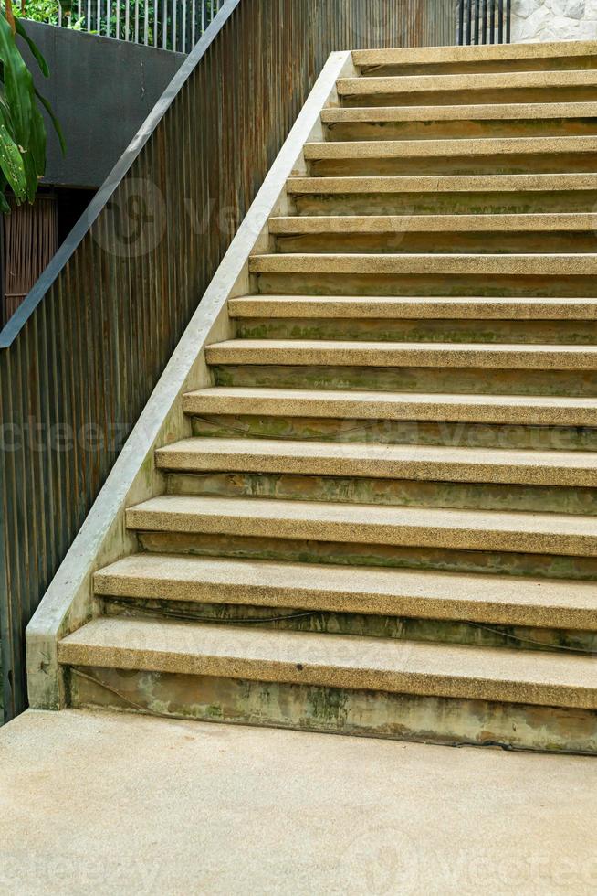 marche d'escalier avec arbre tropical photo