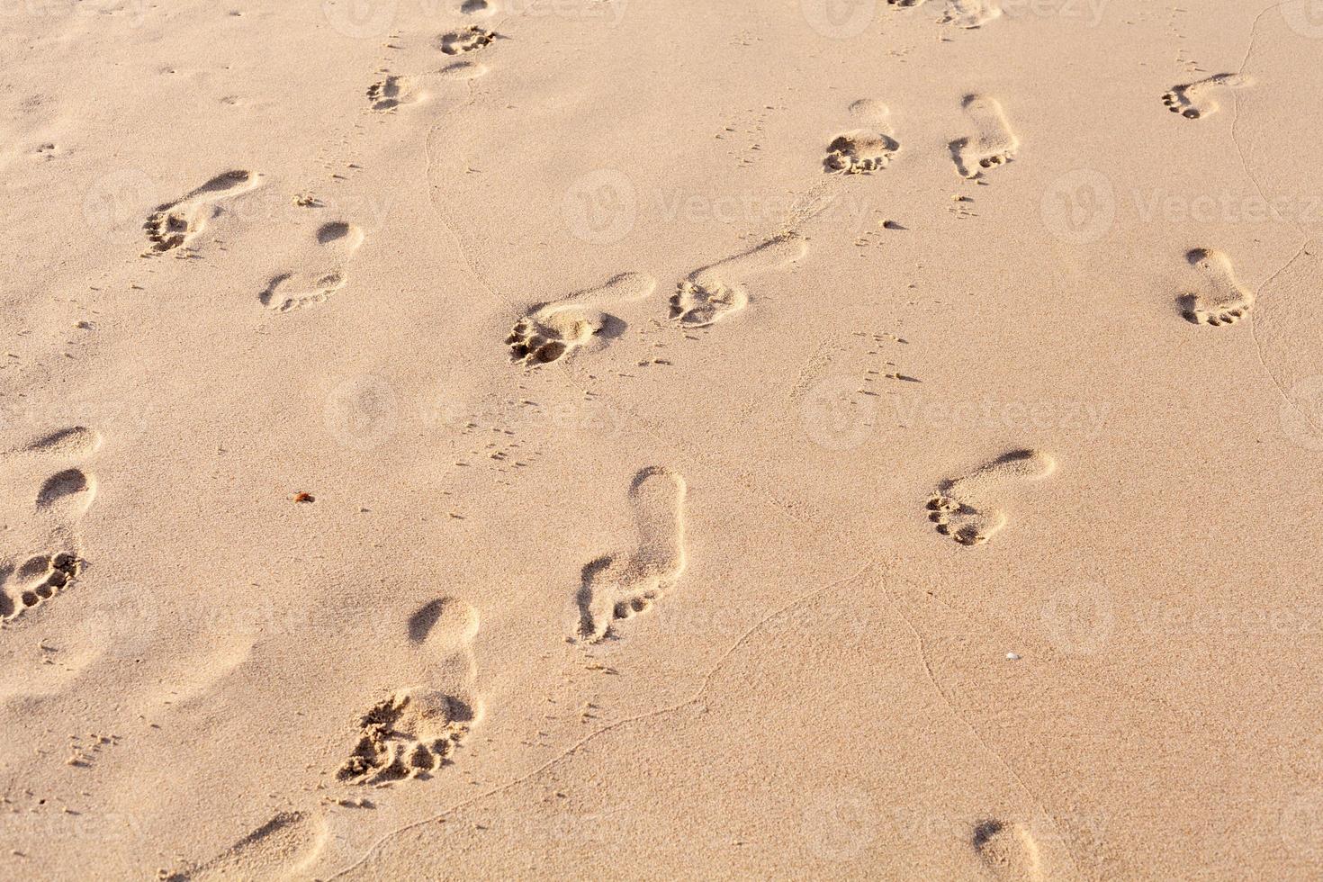 empreintes de pas sur la plage tropicale. photo