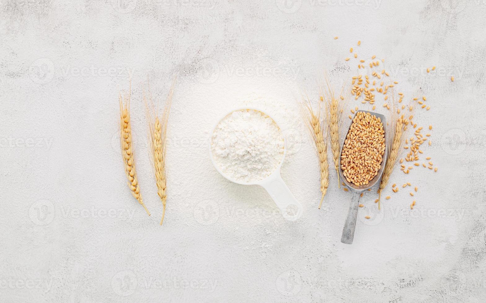 les ingrédients de la pâte à pizza maison avec des épis de blé, de la farine de blé et de l'huile d'olive sur fond de béton blanc. vue de dessus et espace de copie. photo