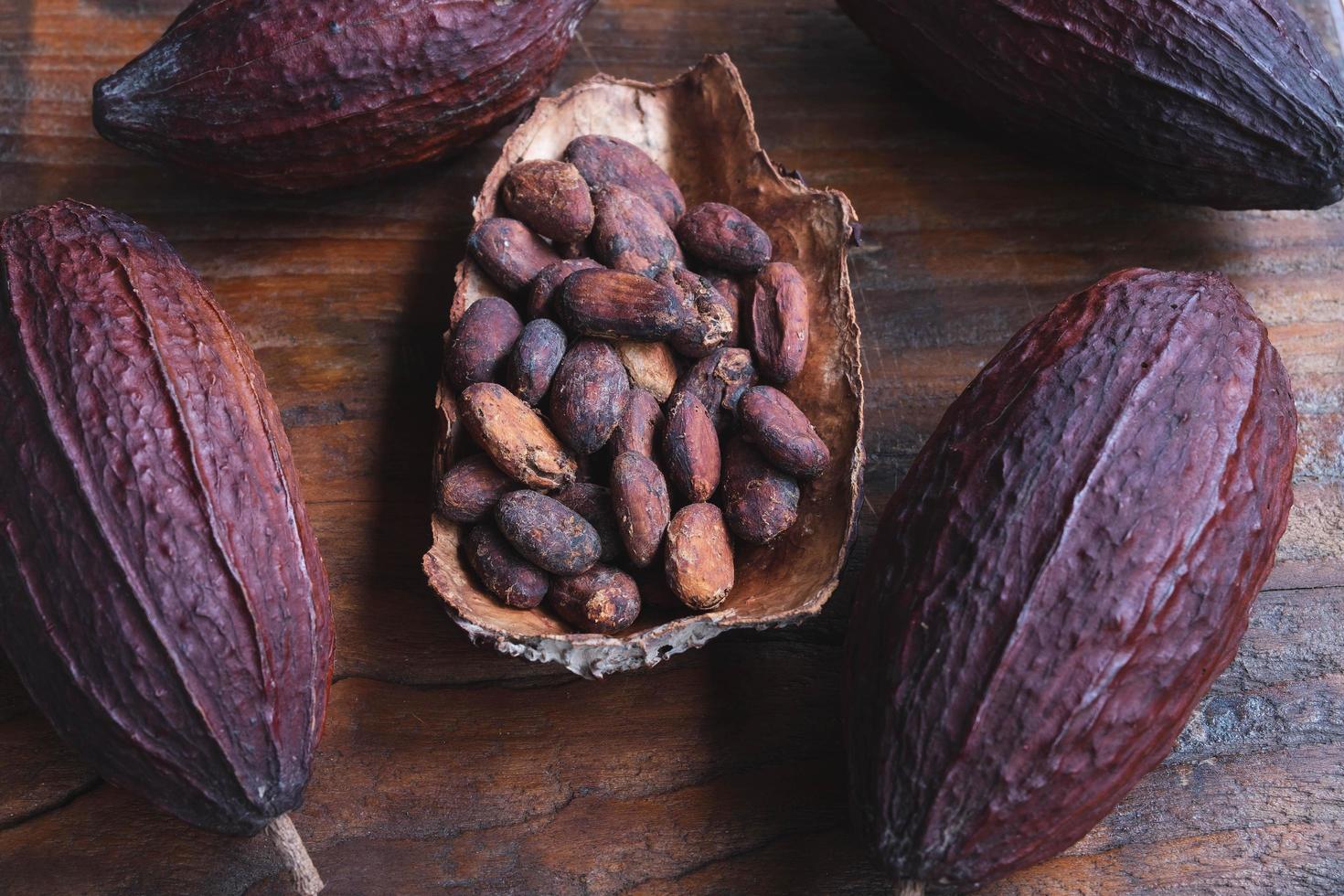 fèves de cacao séchées et fèves de cacao séchées photo