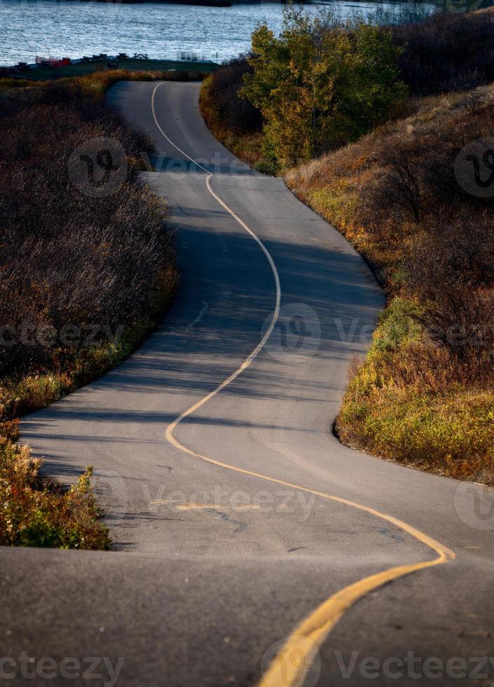 cyprès collines canada photo