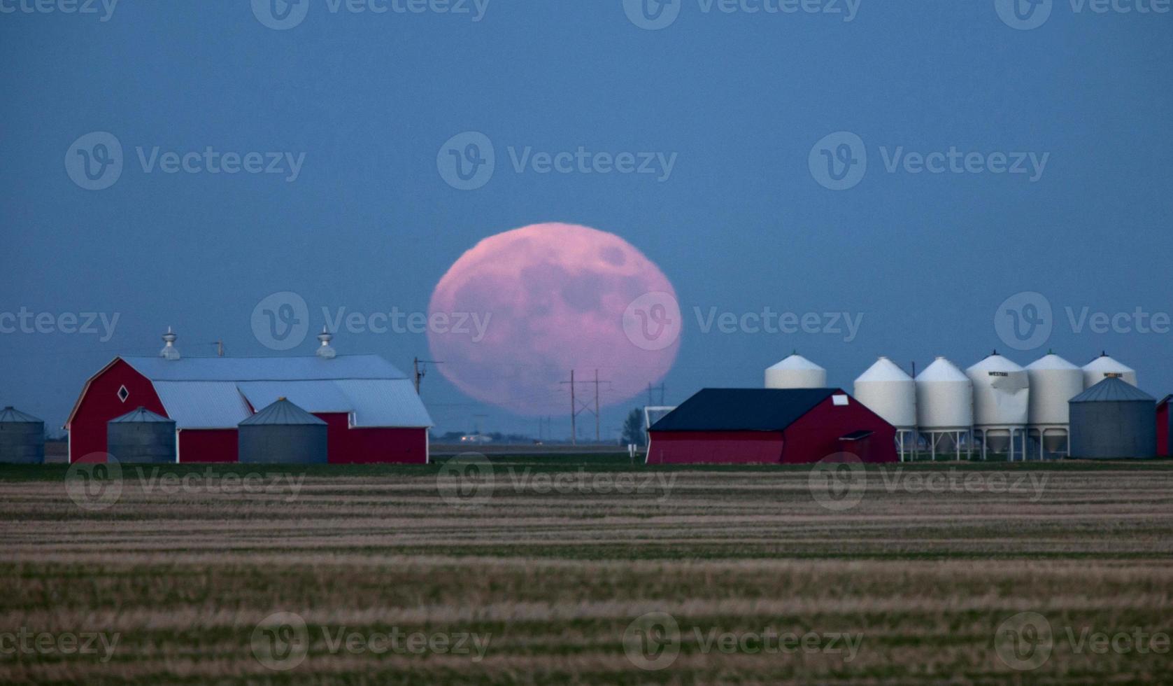 pleine lune des prairies photo