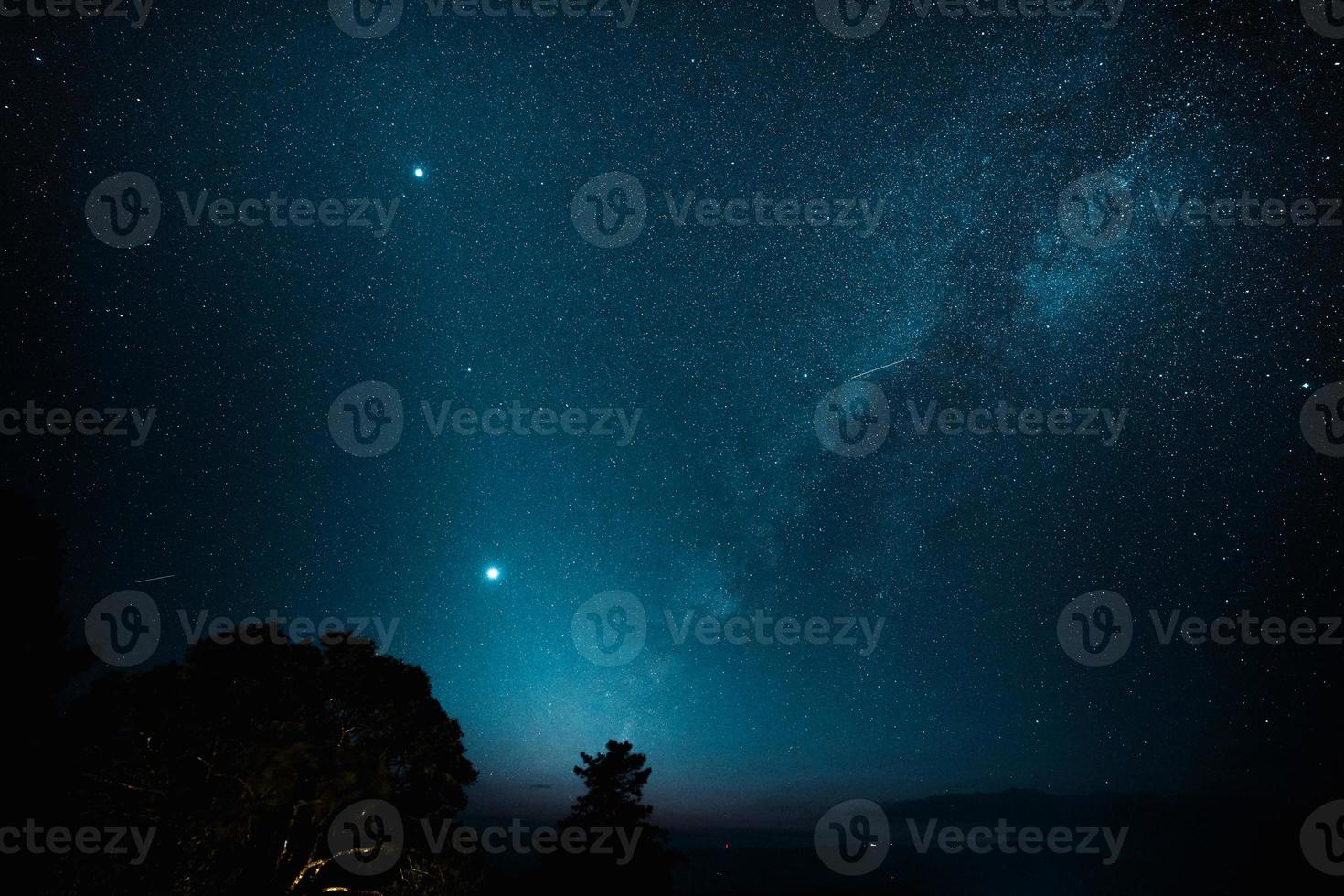 le ciel nocturne et la voie lactée dans la forêt photo