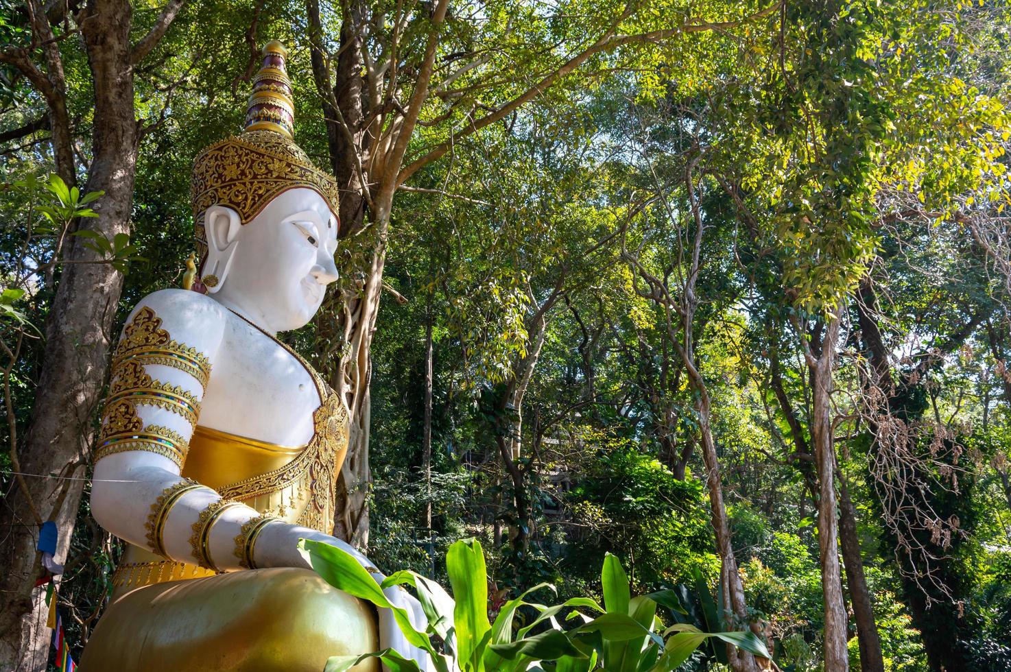 chiang mai thailande12 janvier 2020wat phra that doi suthep templetouristes montant et descendant les escaliers dans le tourisme. escalier il y a actuellement 306 marches. photo