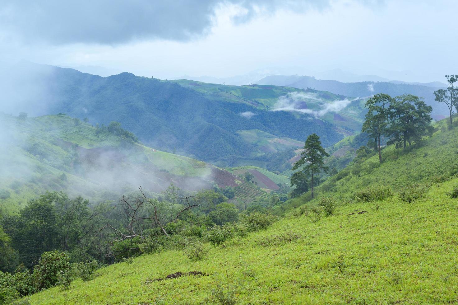 belle vue sur la montagne verte en saison des pluies, climat tropical. photo