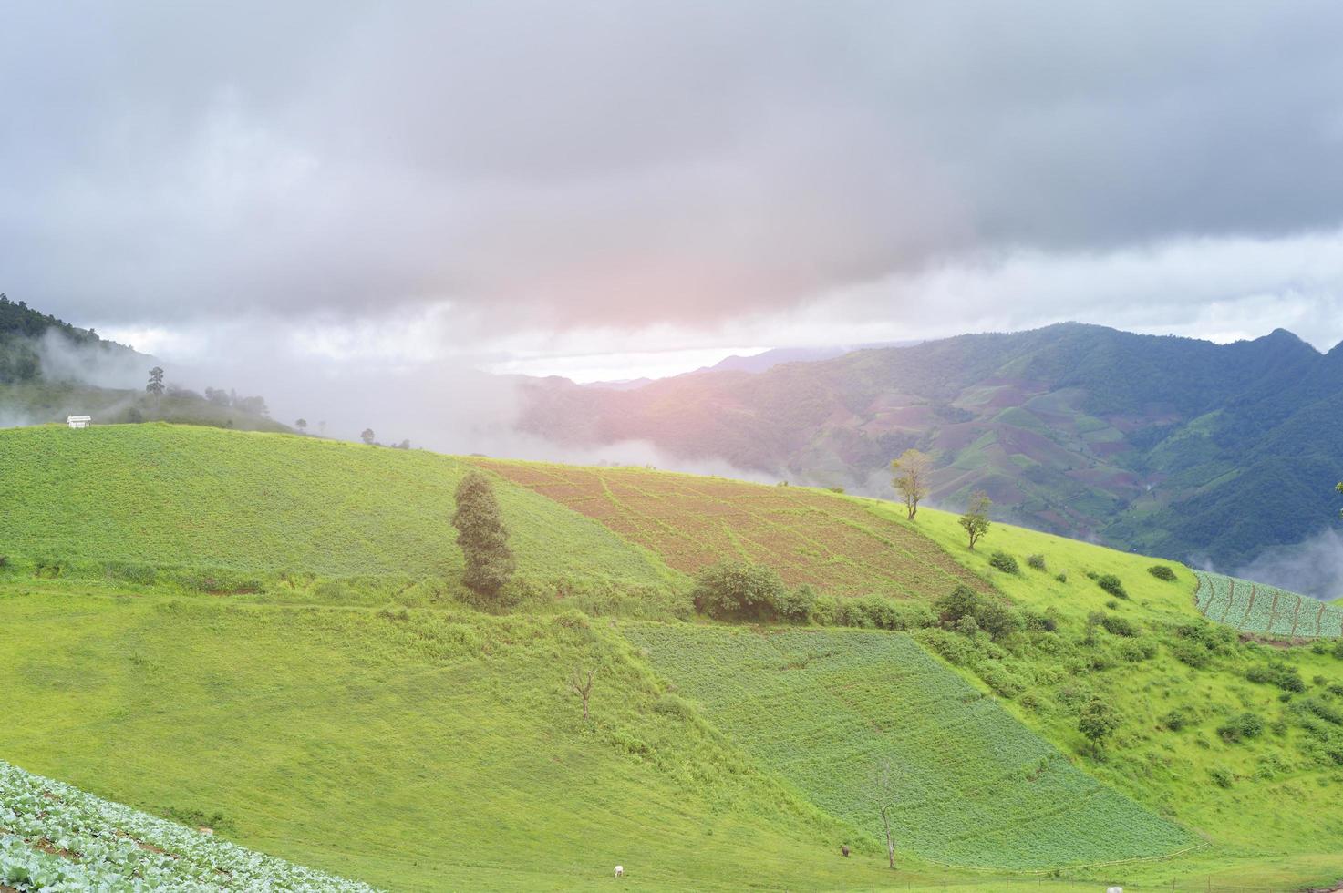 belle vue sur la montagne verte en saison des pluies, climat tropical. photo