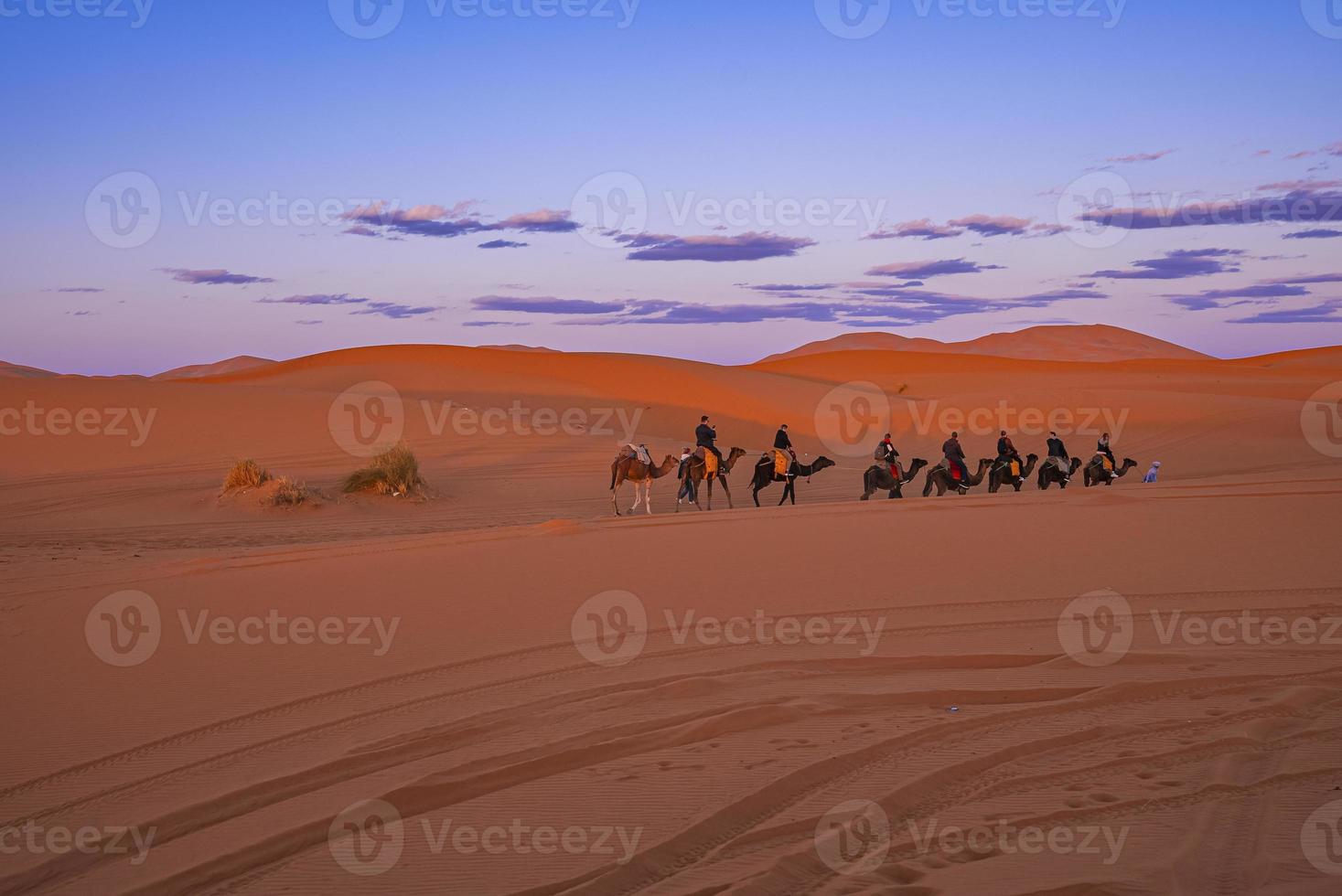 caravane de chameaux avec des touristes traversant le sable dans le désert photo