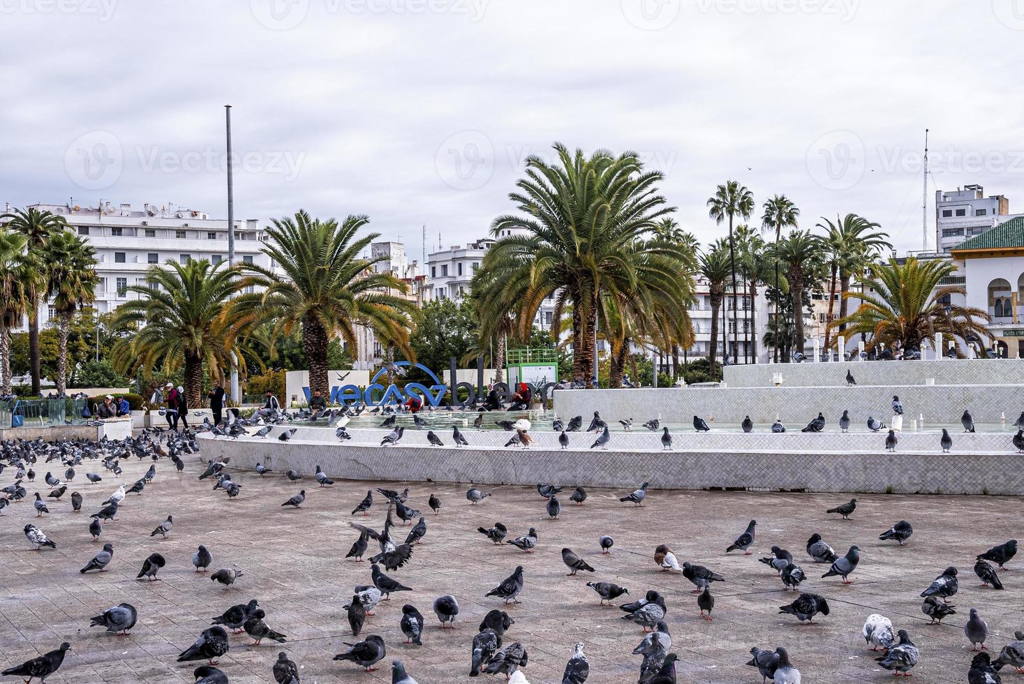 Des troupeaux de pigeons se nourrissent au sol au palais de justice contre ciel nuageux photo