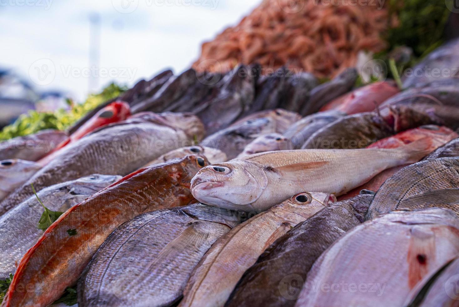 Libre de divers poissons crus colorés exposés à la vente au marché photo