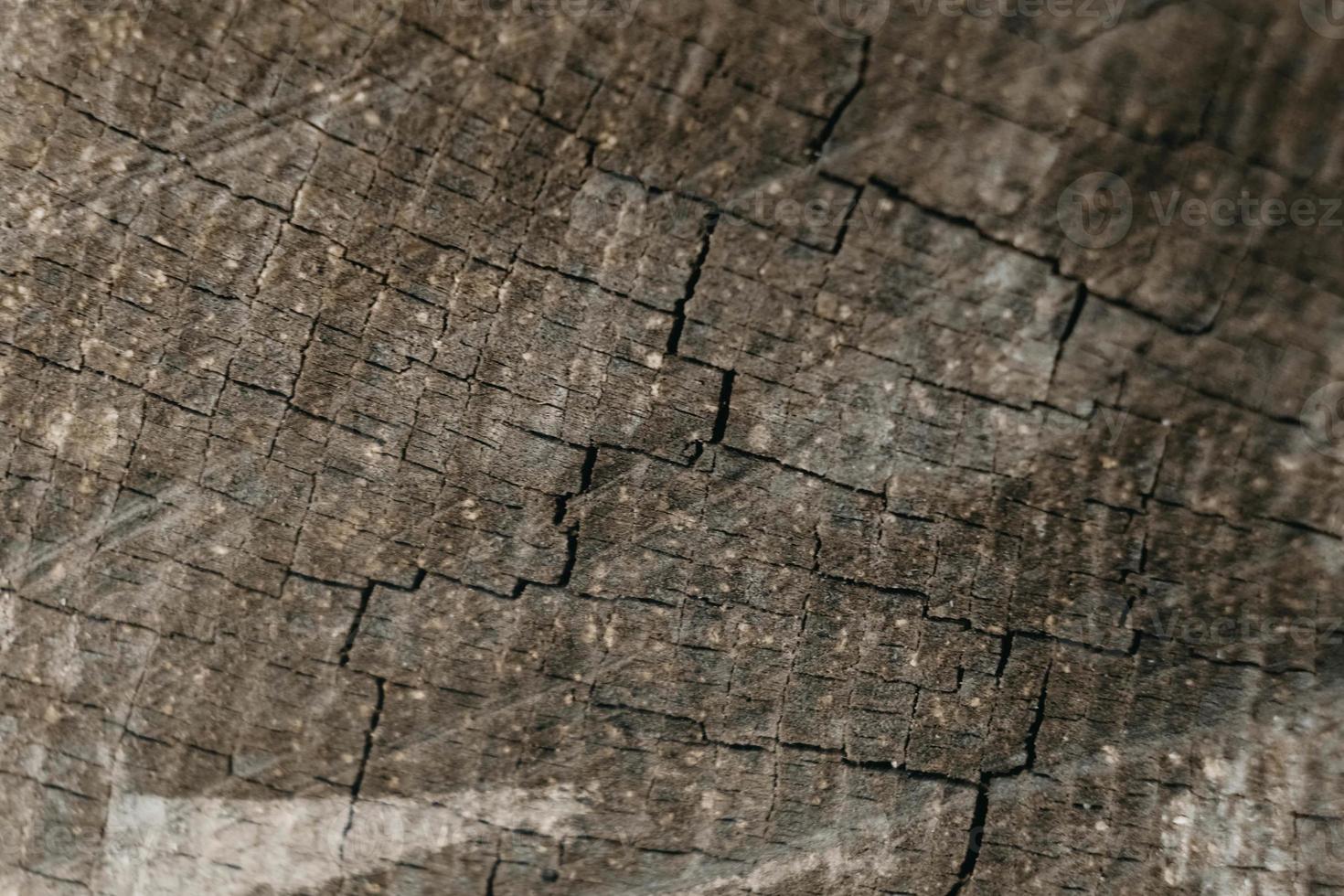 texture de vieux bois avec des fissures photo