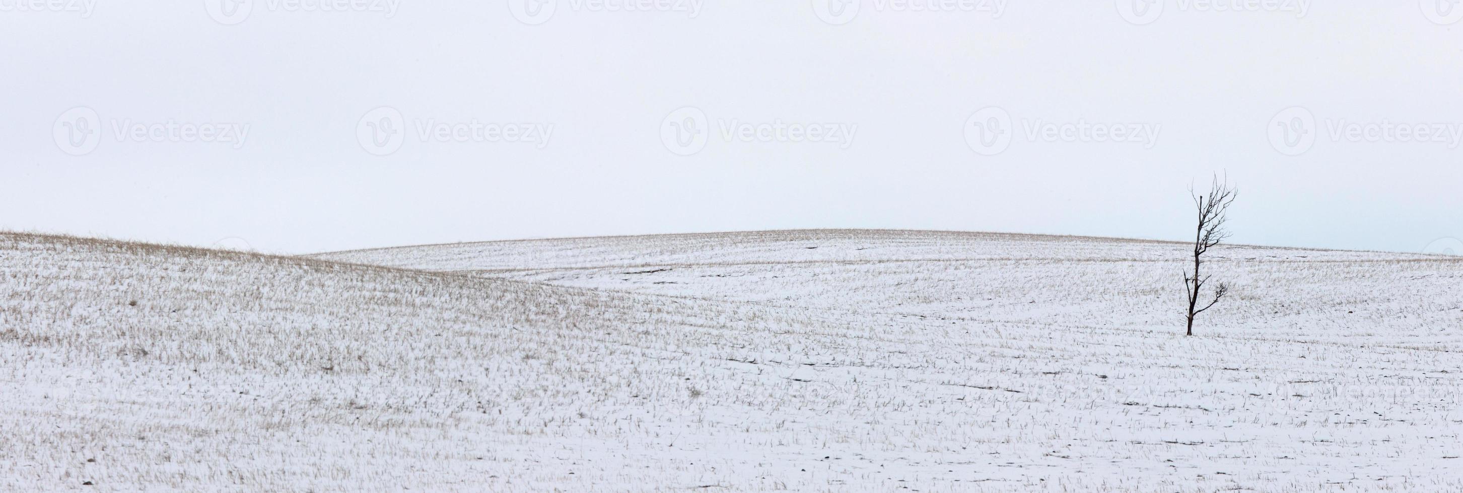 paysage prairie de la saskatchewan photo