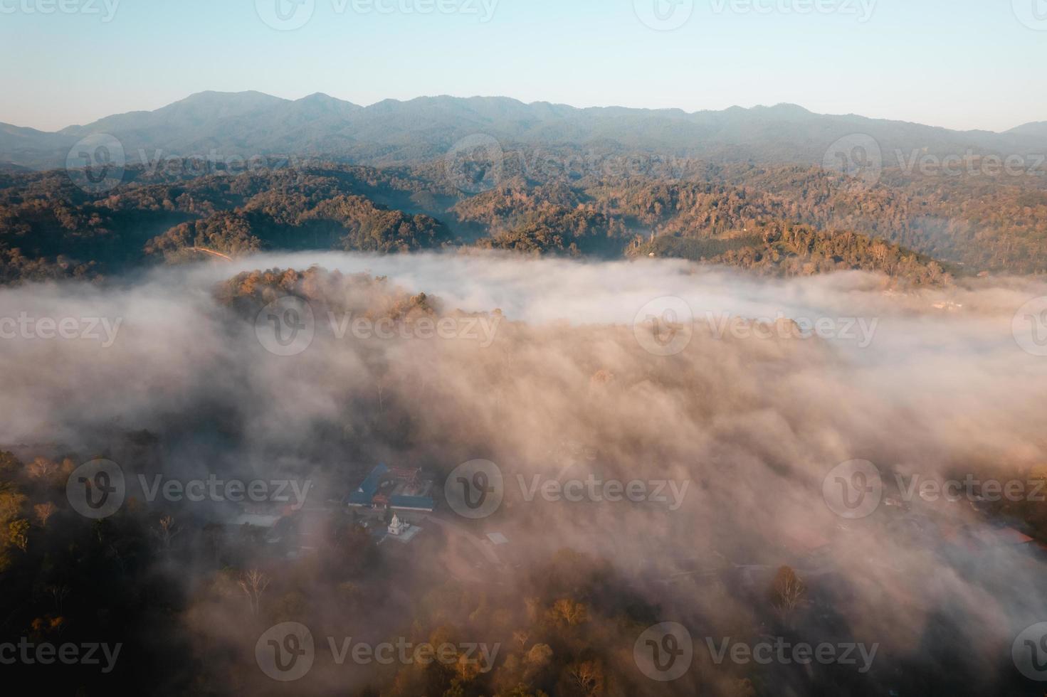 brouillard matinal doré dans la forêt photo