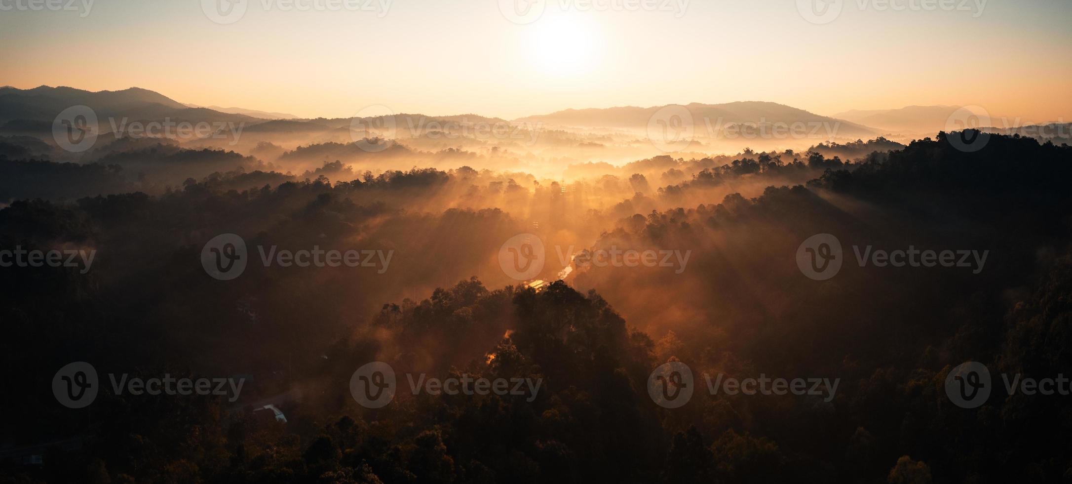 brouillard matinal doré dans la forêt photo
