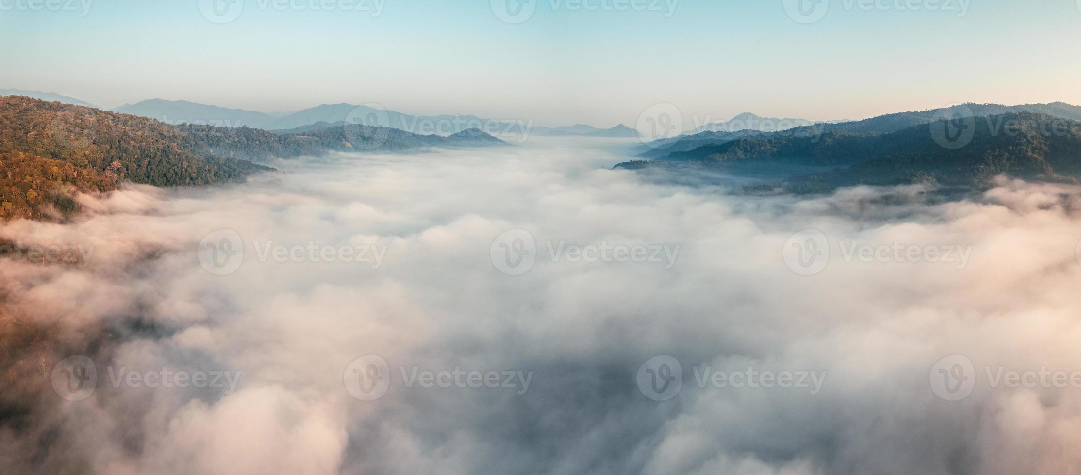 brouillard matinal doré dans la forêt photo