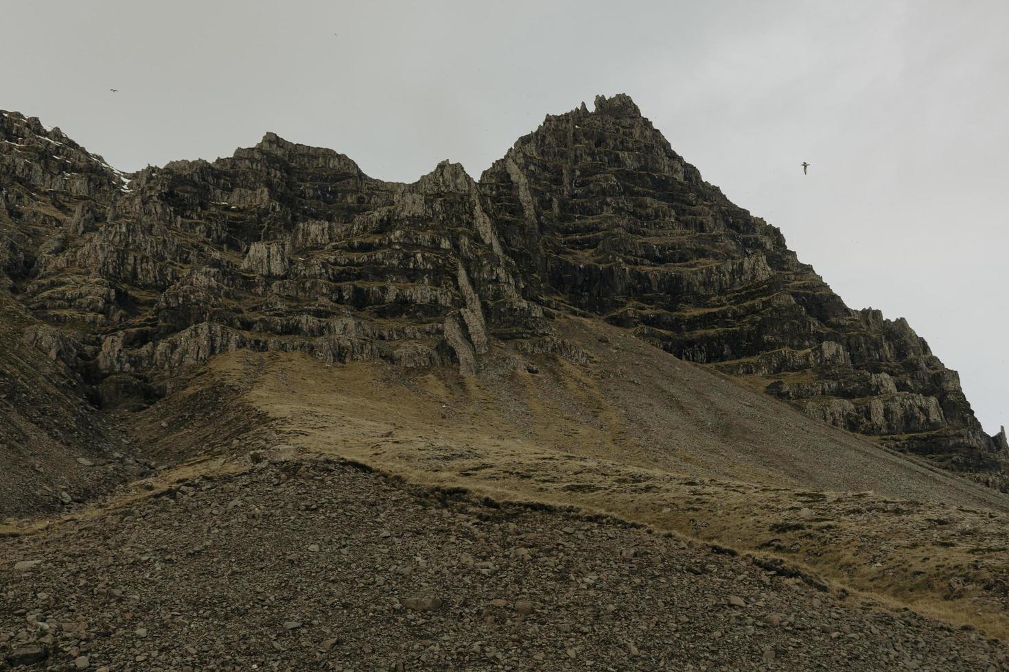 breidalsvik, fjords de l'est, islande photo